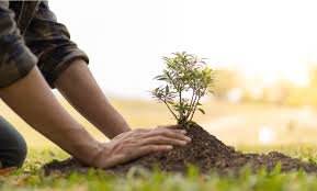 Environmental Issues